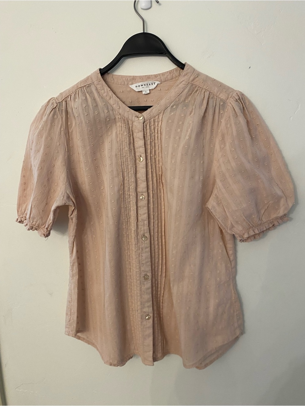 DownEast Blush Pintuck Swiss-Dot Button-Down Blouse
